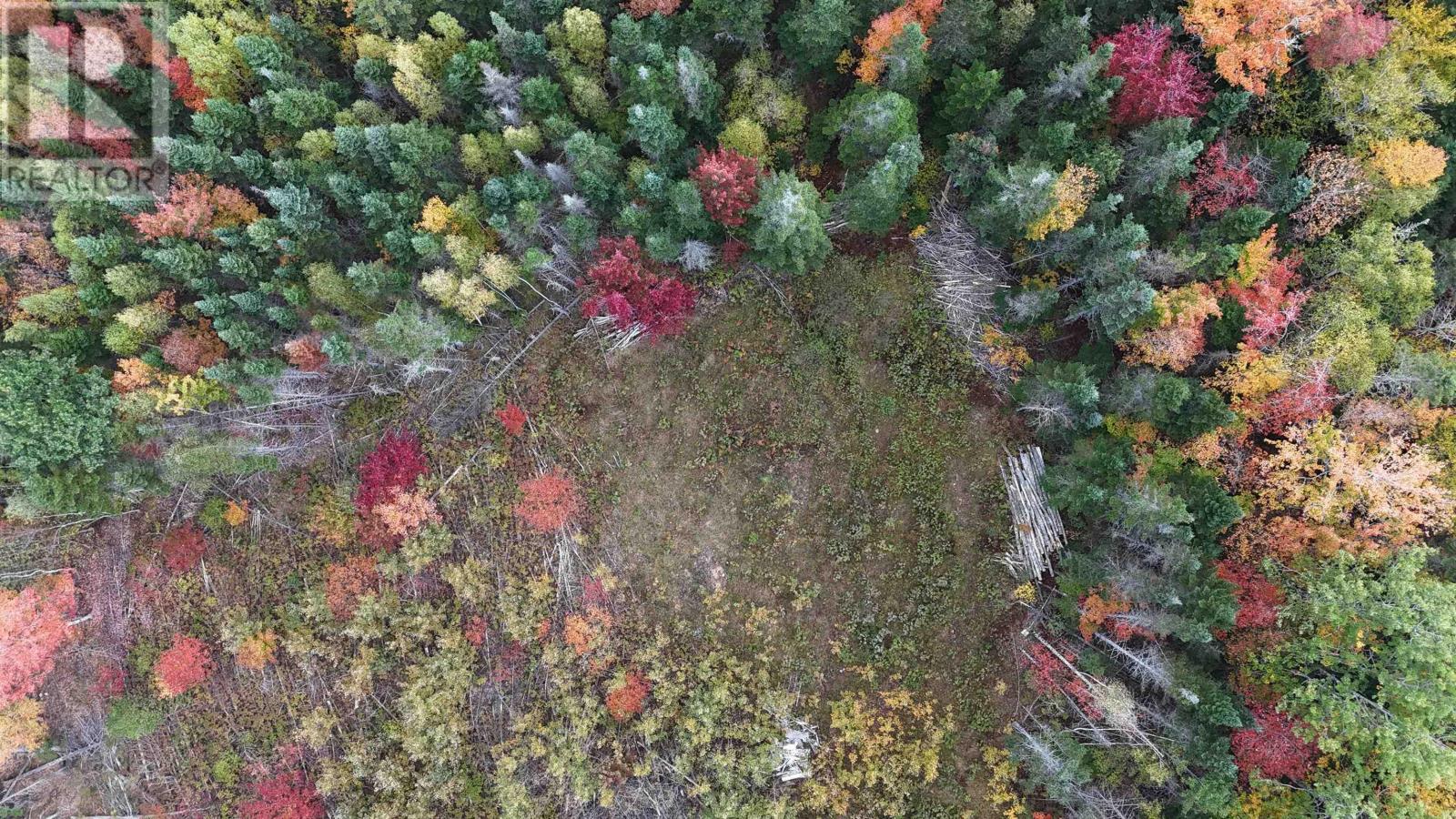 Property 19 of 20 of Lot Chesley Road