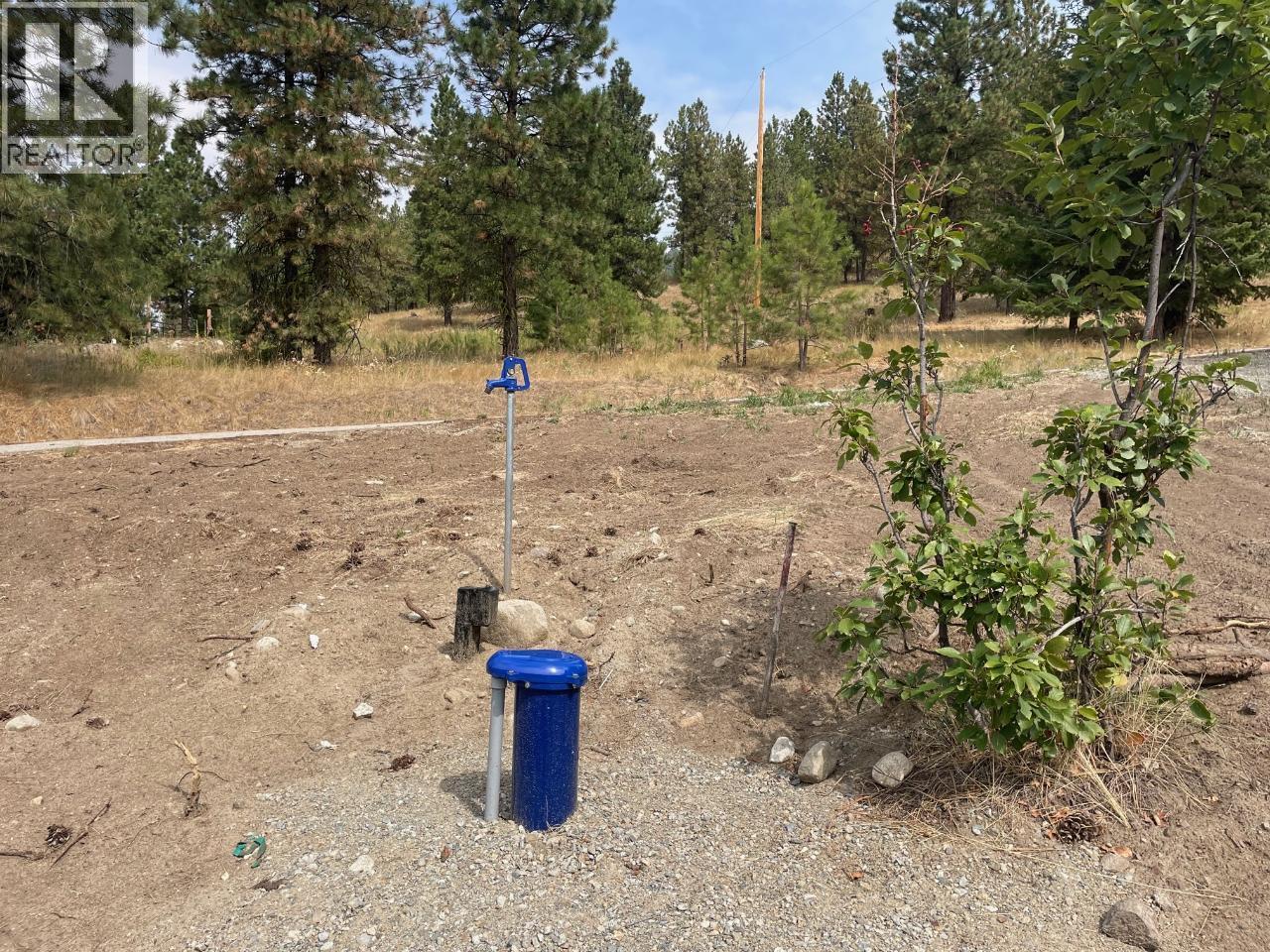 100 COUGAR Court, Osoyoos