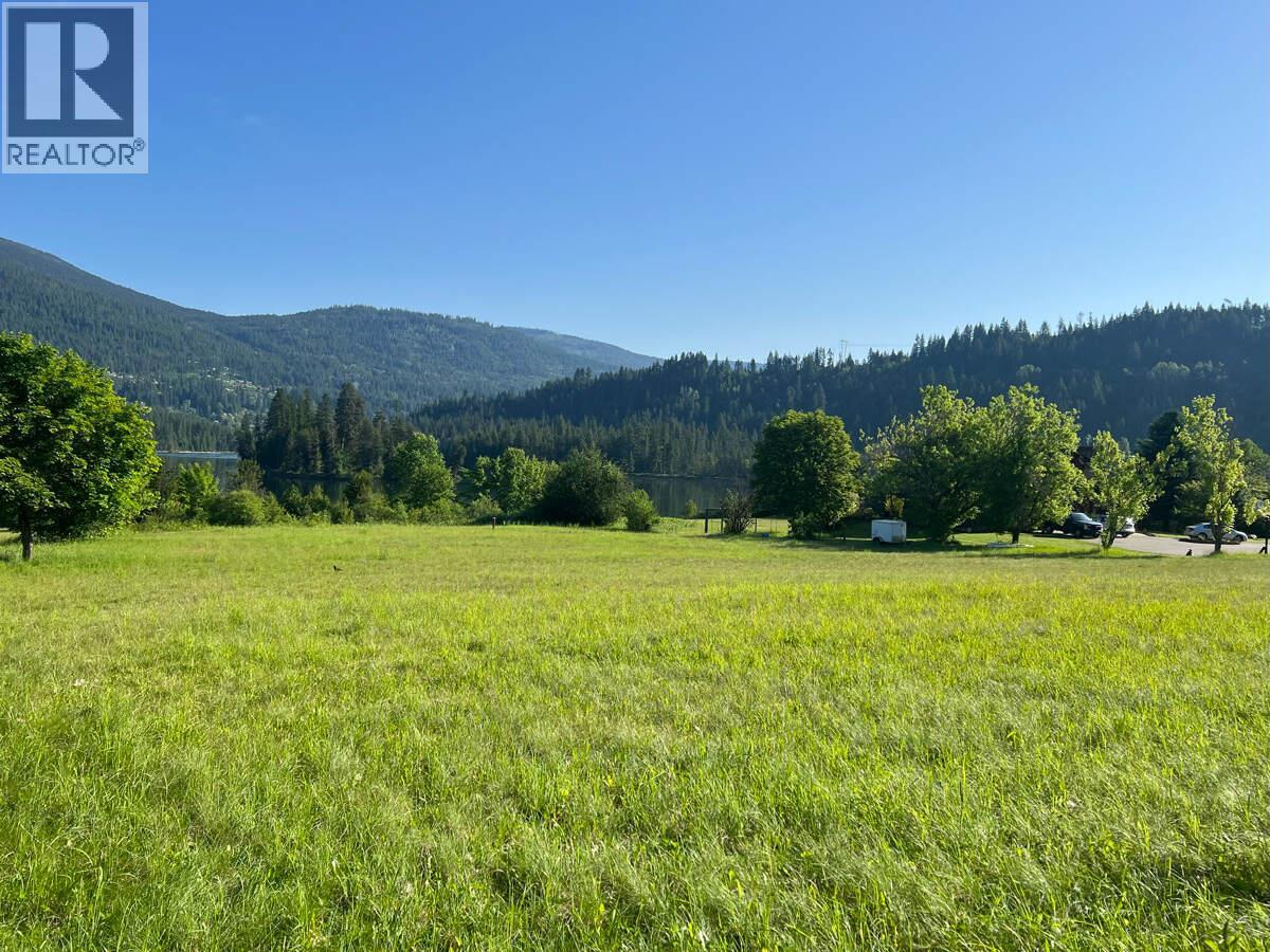 2719 DAVIDSON Road - 43