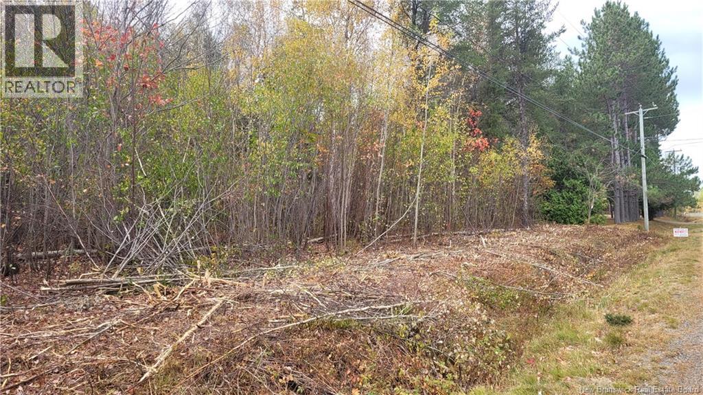 0 Rte 118, South Nelson, New Brunswick, E1N6C7, South Nelson, New Brunswick — photo 4 of 5