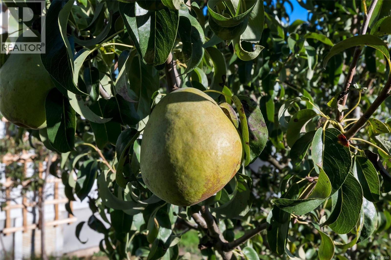 307 2885 Boys Rd, Duncan