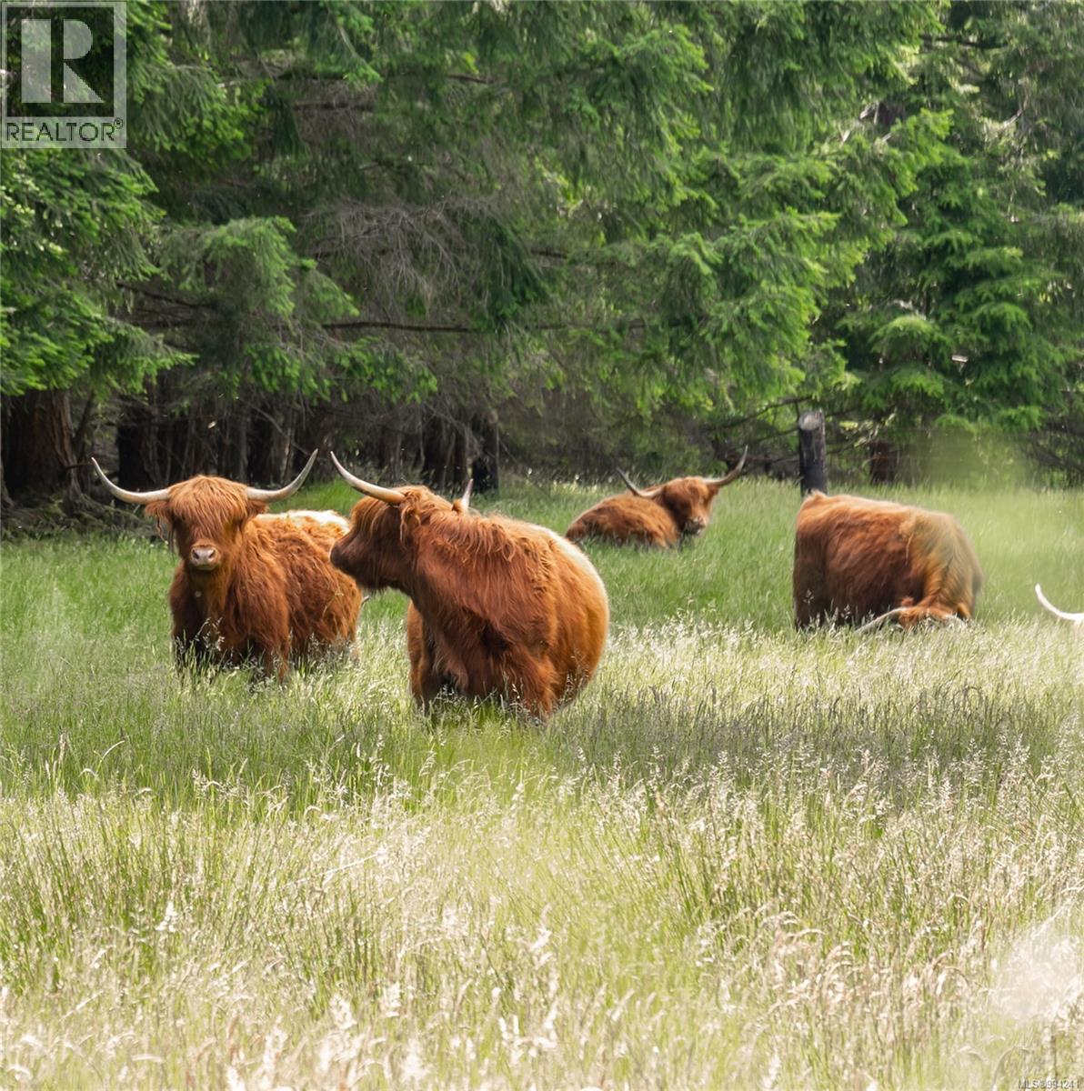 909 South Rd, Gabriola Island