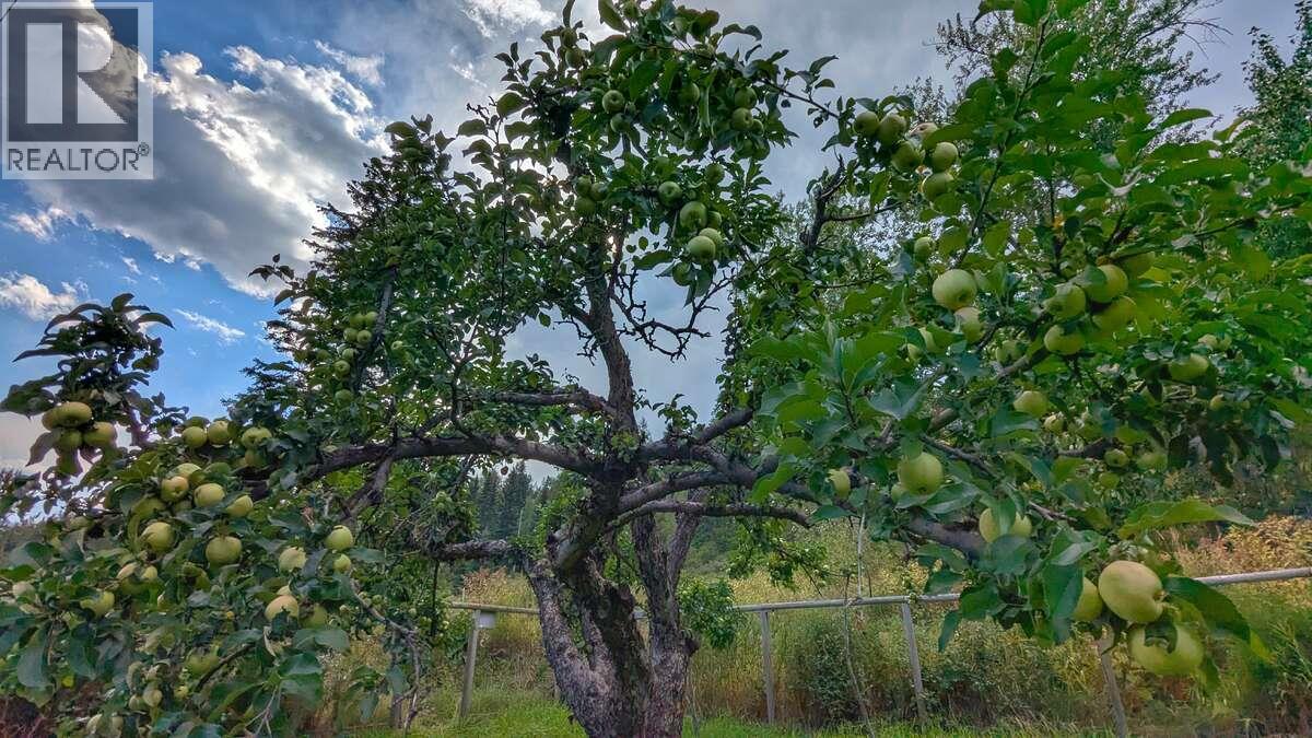 2107 HIGHWAY 3 S - 6