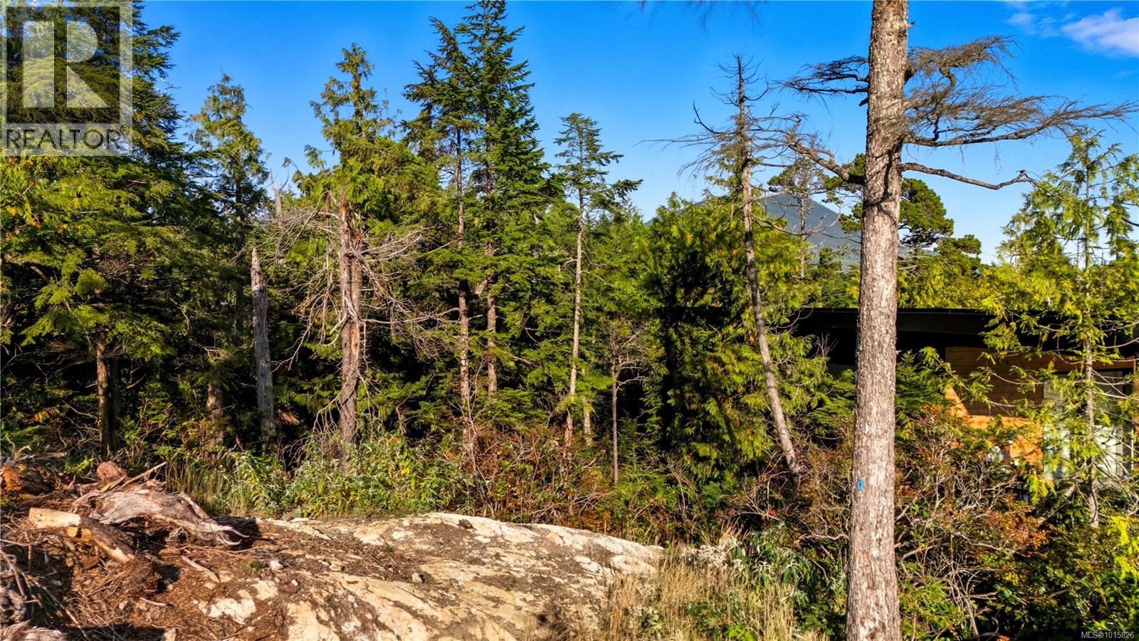 851 Lorne White Pl, Ucluelet