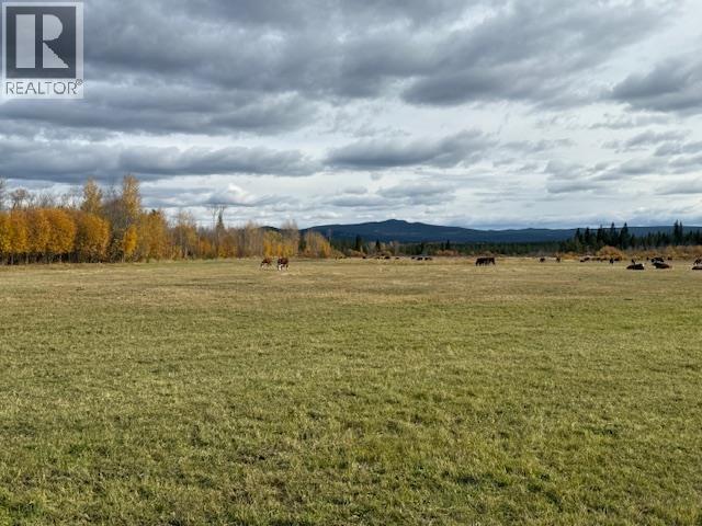 Agriculture in Williams Lake - Image 10
