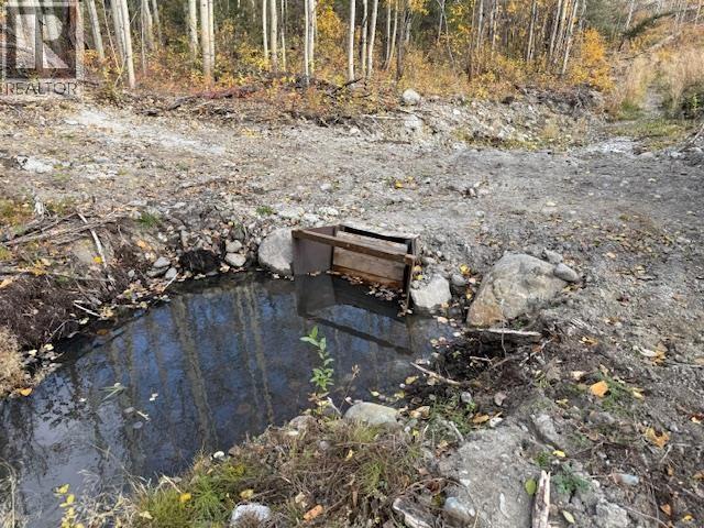 Agriculture in Williams Lake - Image 16