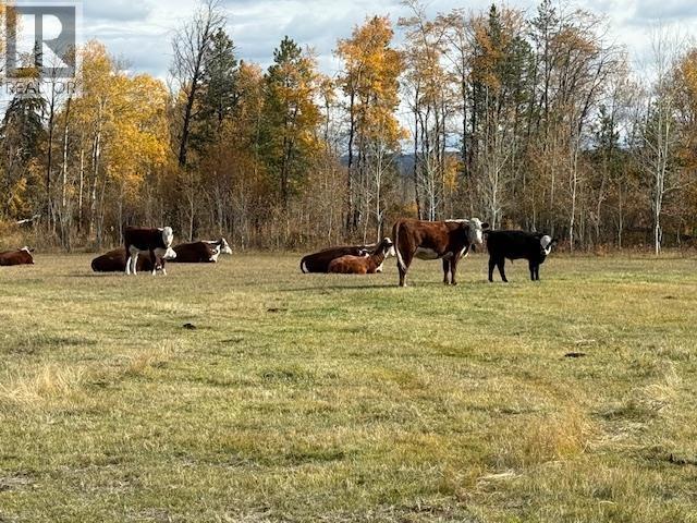 Agriculture in Williams Lake - Image 19