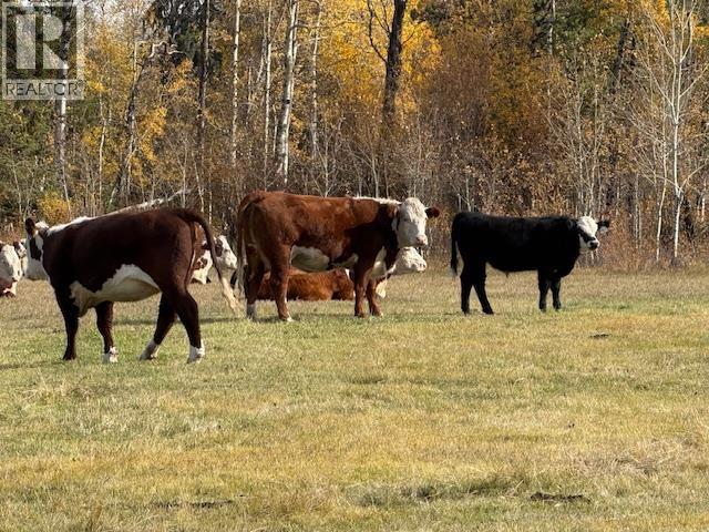 Agriculture in Williams Lake - Image 20