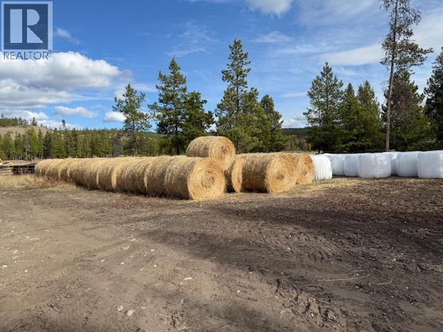 Agriculture in Williams Lake - Image 22