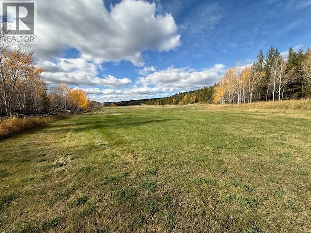 Agriculture in Williams Lake - Image 24