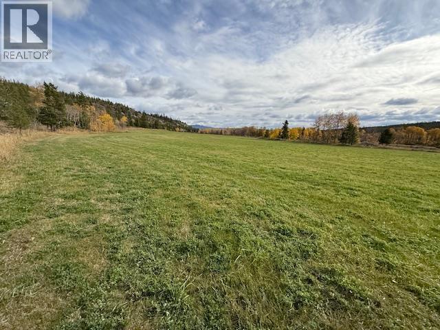 Agriculture in Williams Lake - Image 7