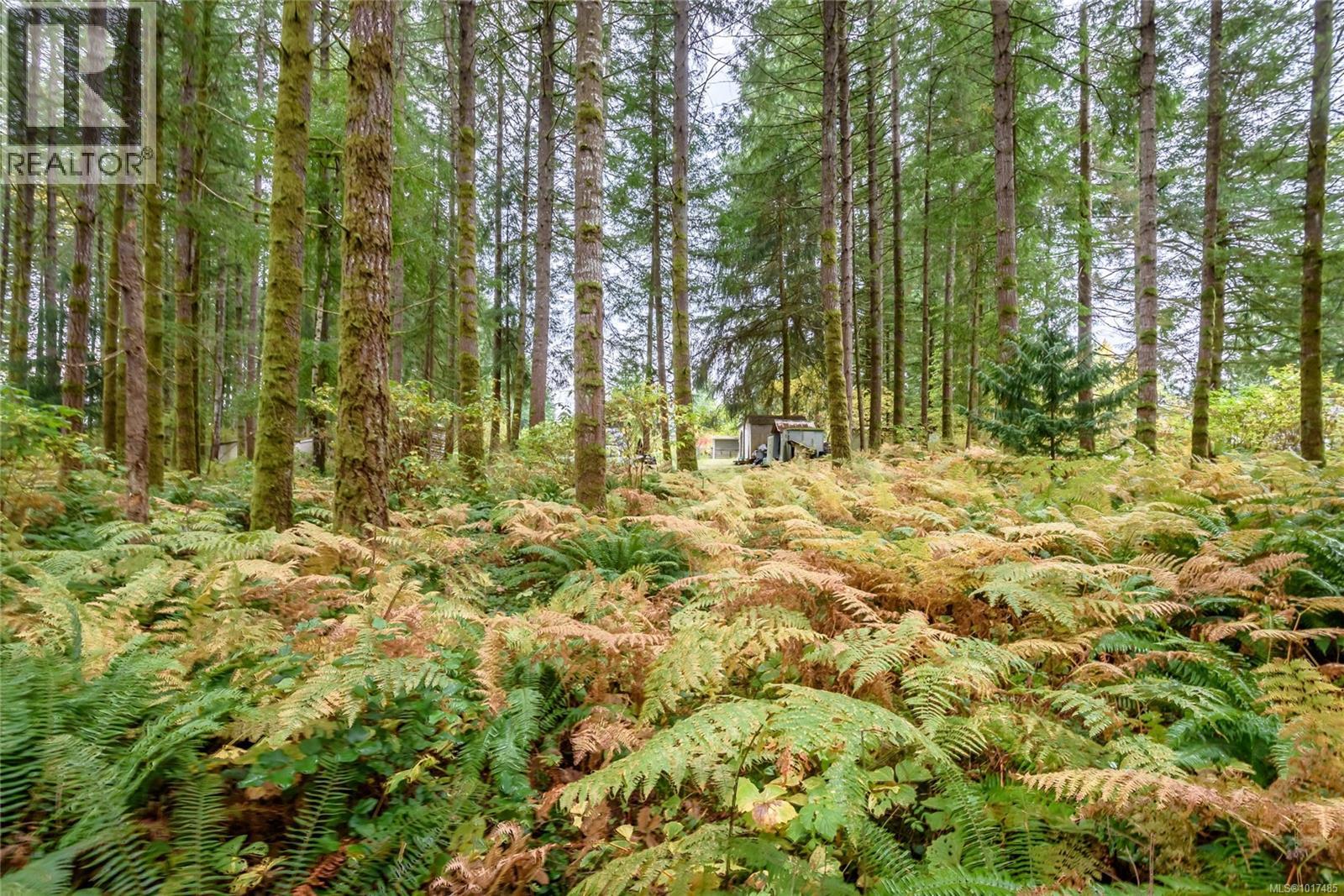 #A/B 2826 BRUCE RD - 64