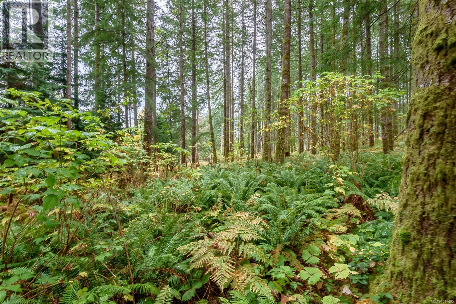 #A/B 2826 BRUCE RD - 63