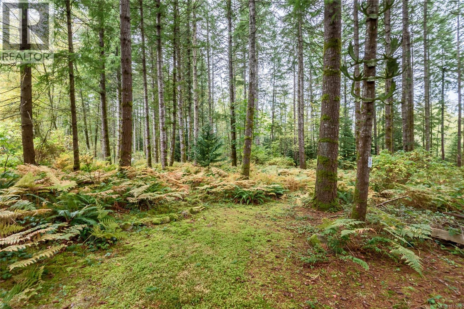 #A/B 2826 BRUCE RD - 62