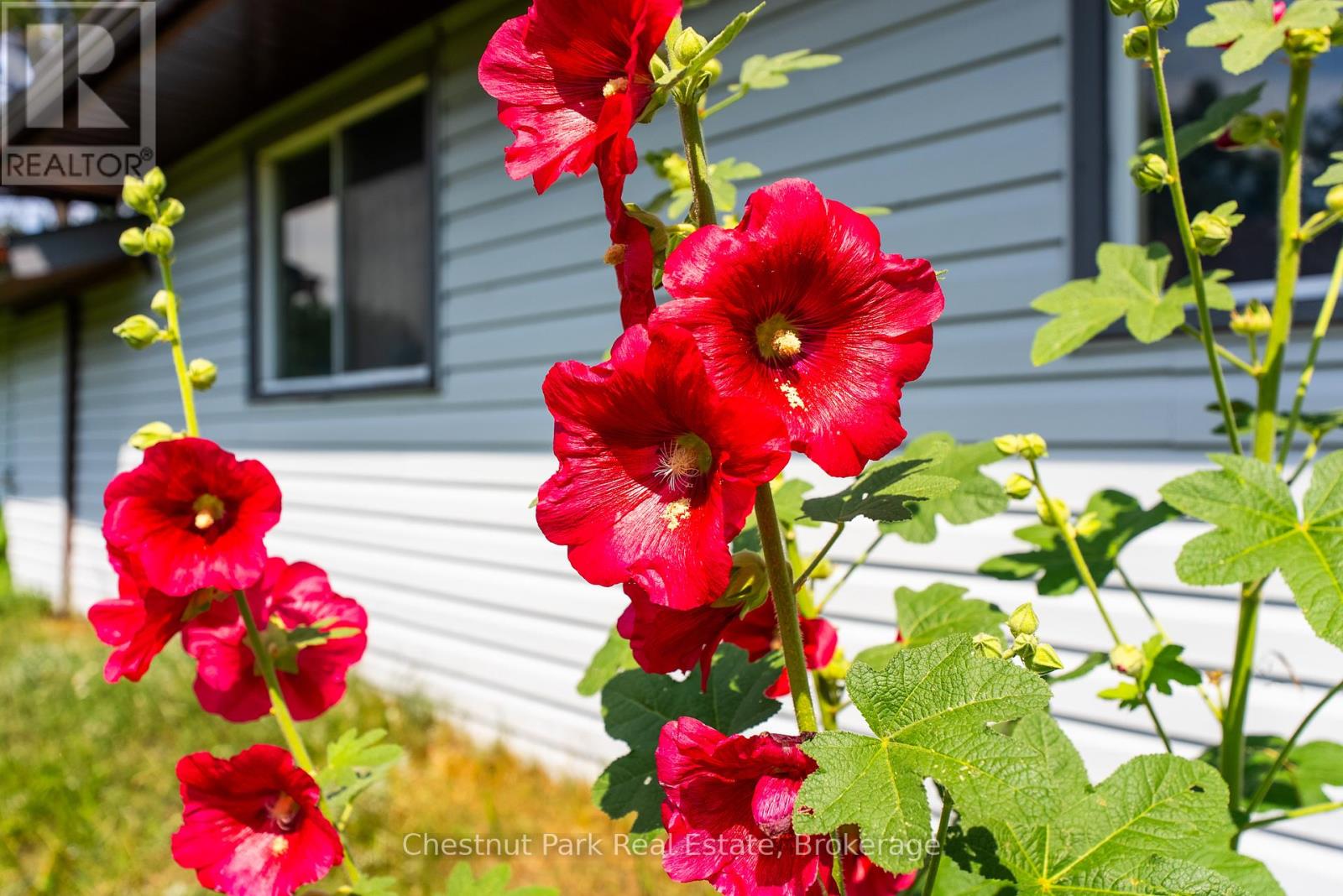 8 DANDELION LANE, Bracebridge (Monck (Bracebridge)), Ontario, P1L1W8 — Photo 25