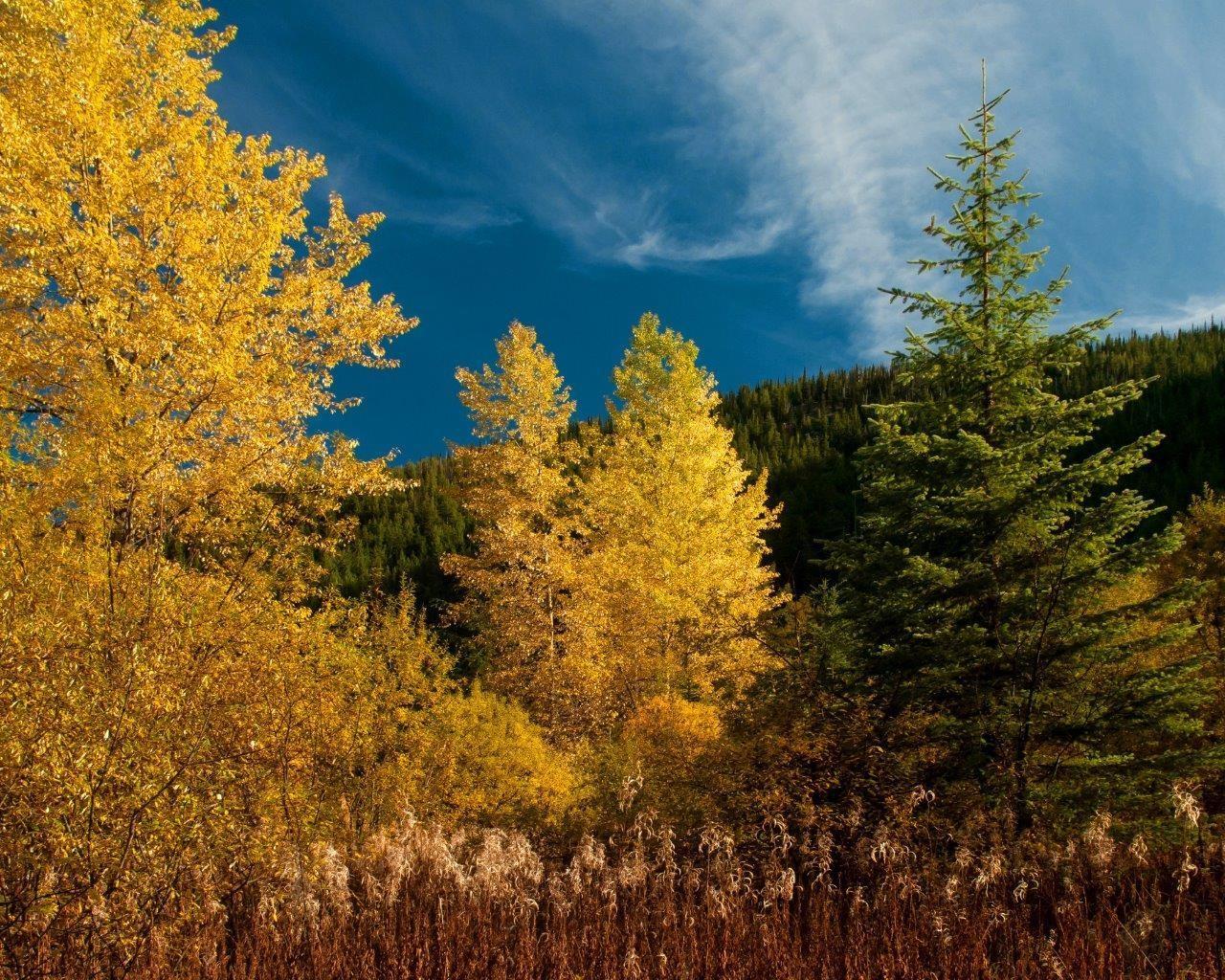 Vacant Land in Sunshine Valley - Image 6
