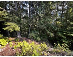 14970 Parkview Avenue, Sunshine Valley, Sunshine Valley, BC V0X1L5 Photo 9