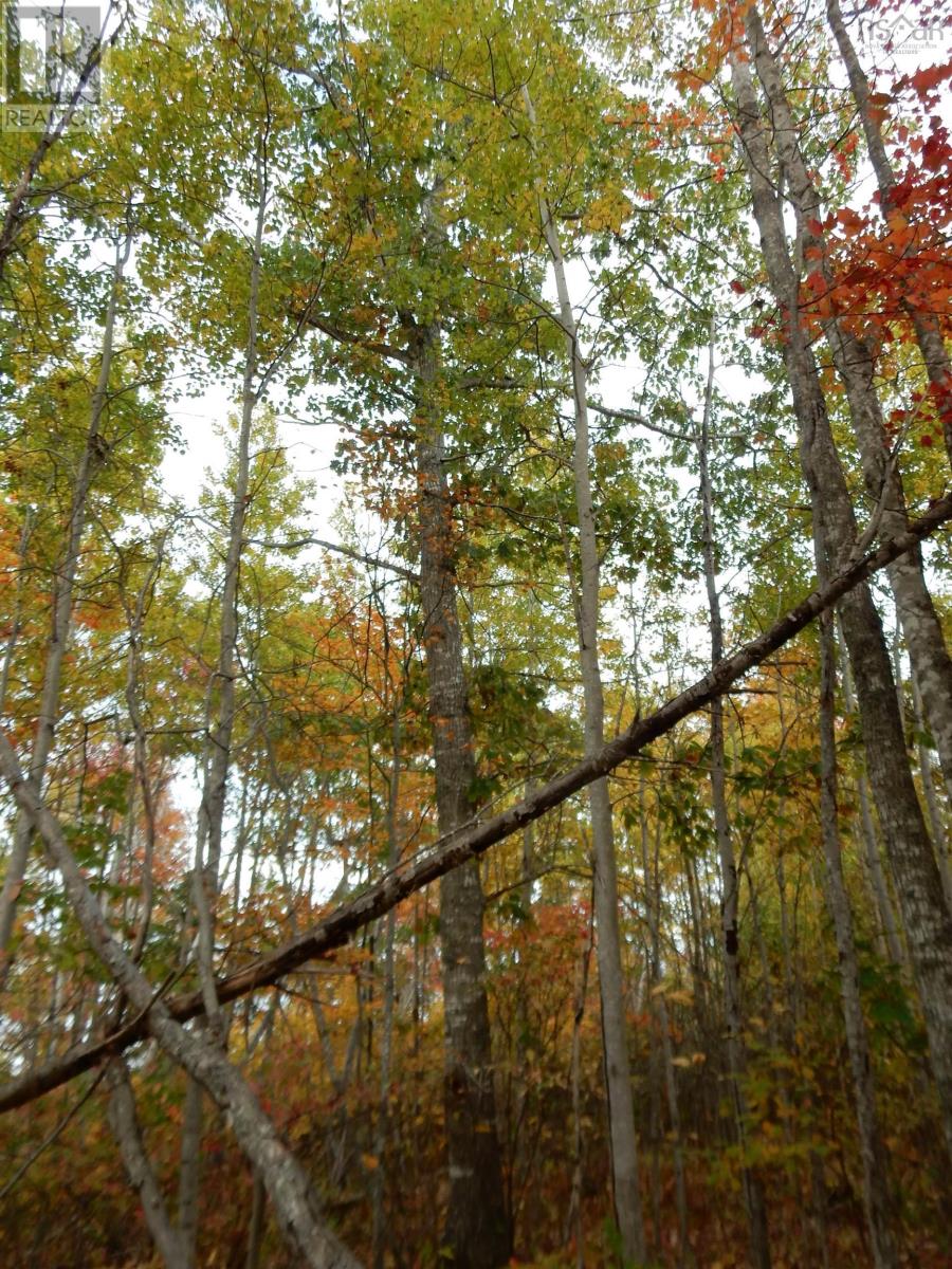 Property 30 of 32 of Highway 6