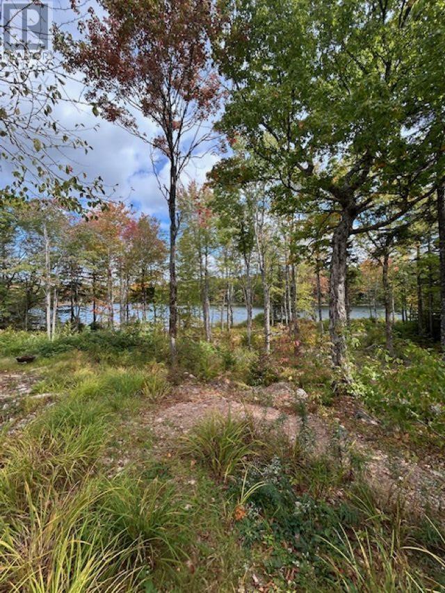 Property 16 of 21 of Lot 3 & 4 Lakeshore