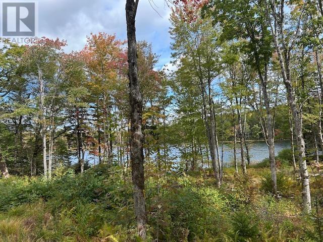 Property 2 of 21 of Lot 3 & 4 Lakeshore