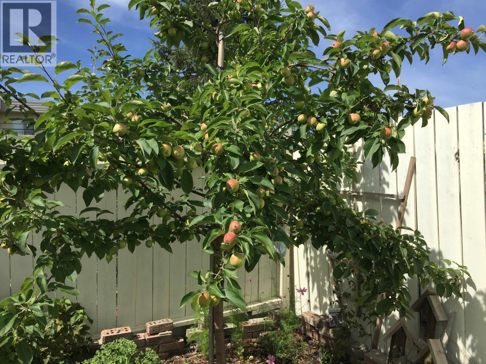 10531 102 STREET, Taylor