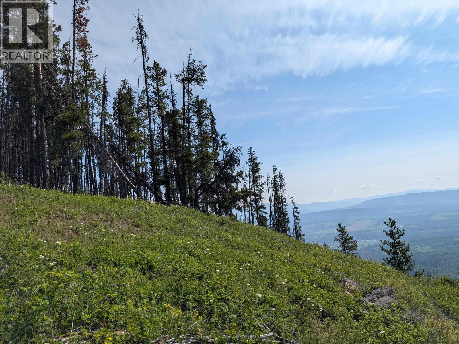 LOT 6 HUDSON BAY MOUNTAIN ROAD, Smithers