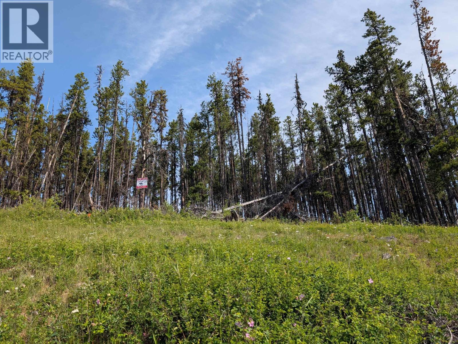 LOT 6 HUDSON BAY MOUNTAIN ROAD, Smithers