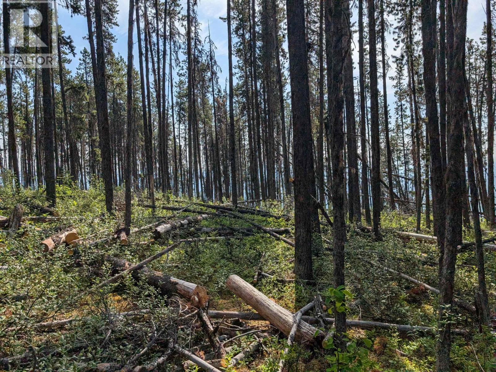 LOT 6 HUDSON BAY MOUNTAIN ROAD, Smithers