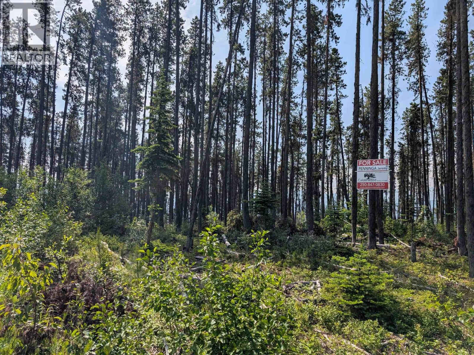 LOT 6 HUDSON BAY MOUNTAIN ROAD, Smithers