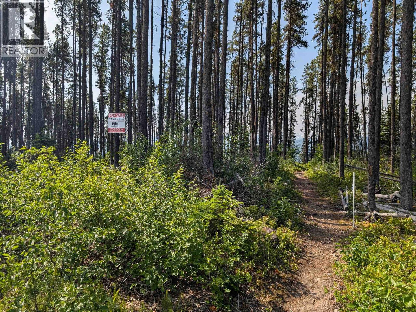 LOT 6 HUDSON BAY MOUNTAIN ROAD, Smithers