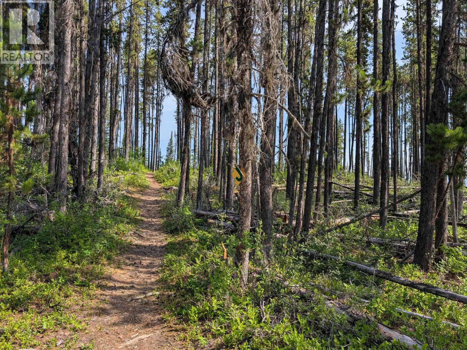 LOT 6 HUDSON BAY MOUNTAIN ROAD, Smithers