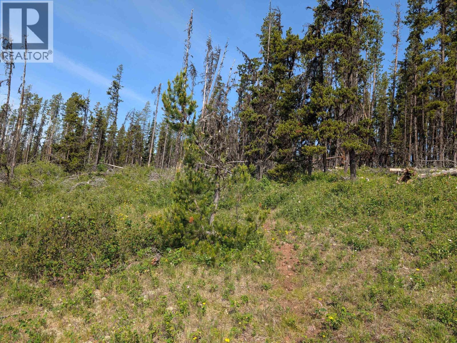 LOT 6 HUDSON BAY MOUNTAIN ROAD, Smithers