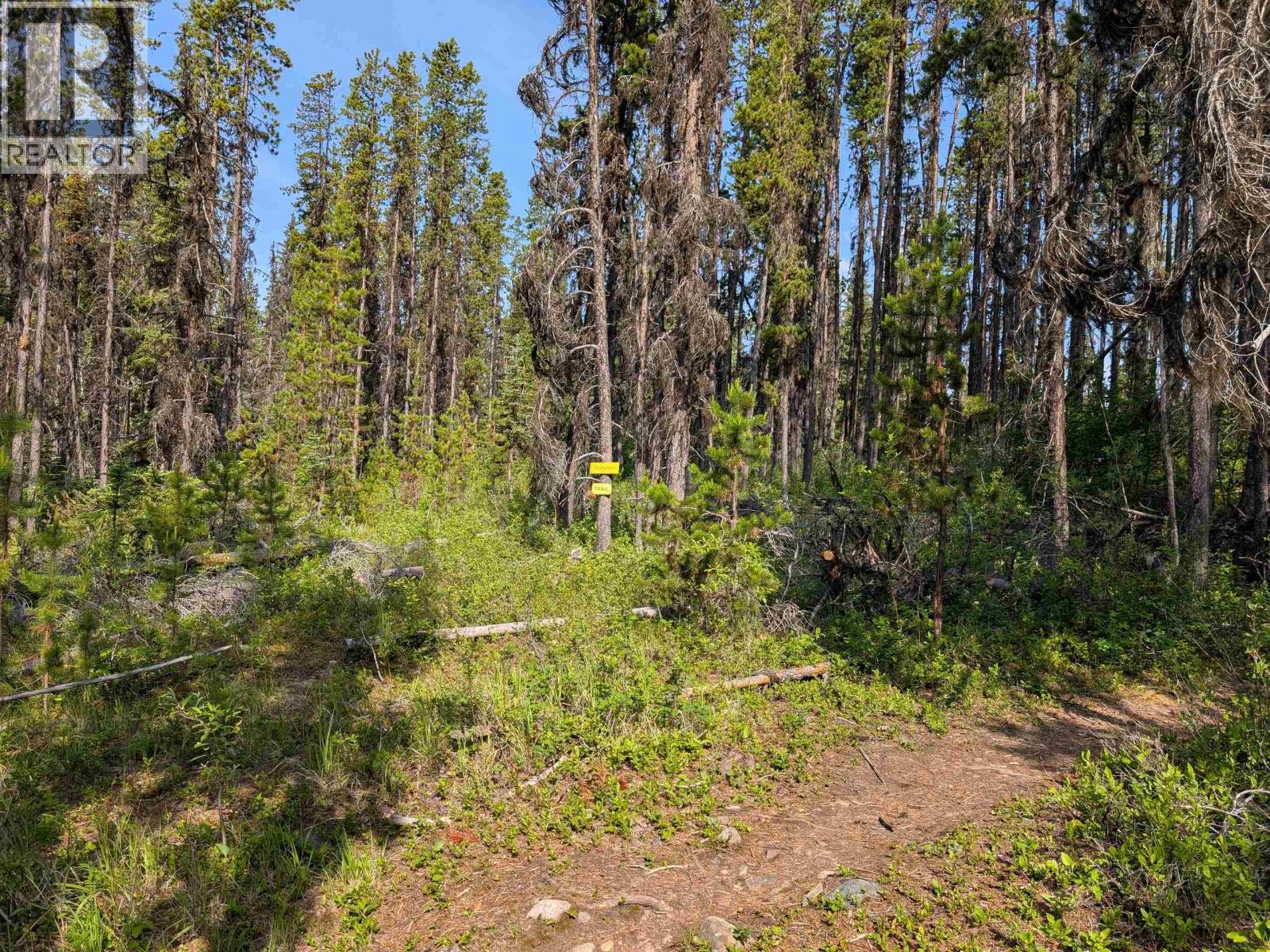 LOT 6 HUDSON BAY MOUNTAIN ROAD, Smithers