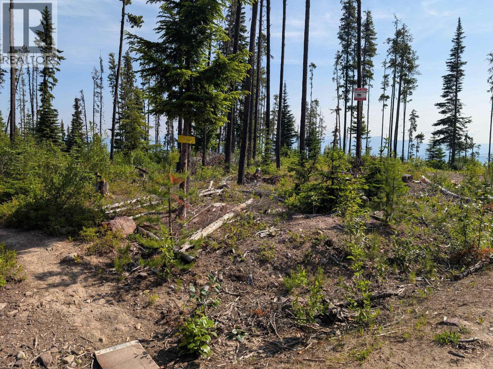 LOT 6 HUDSON BAY MOUNTAIN ROAD, Smithers