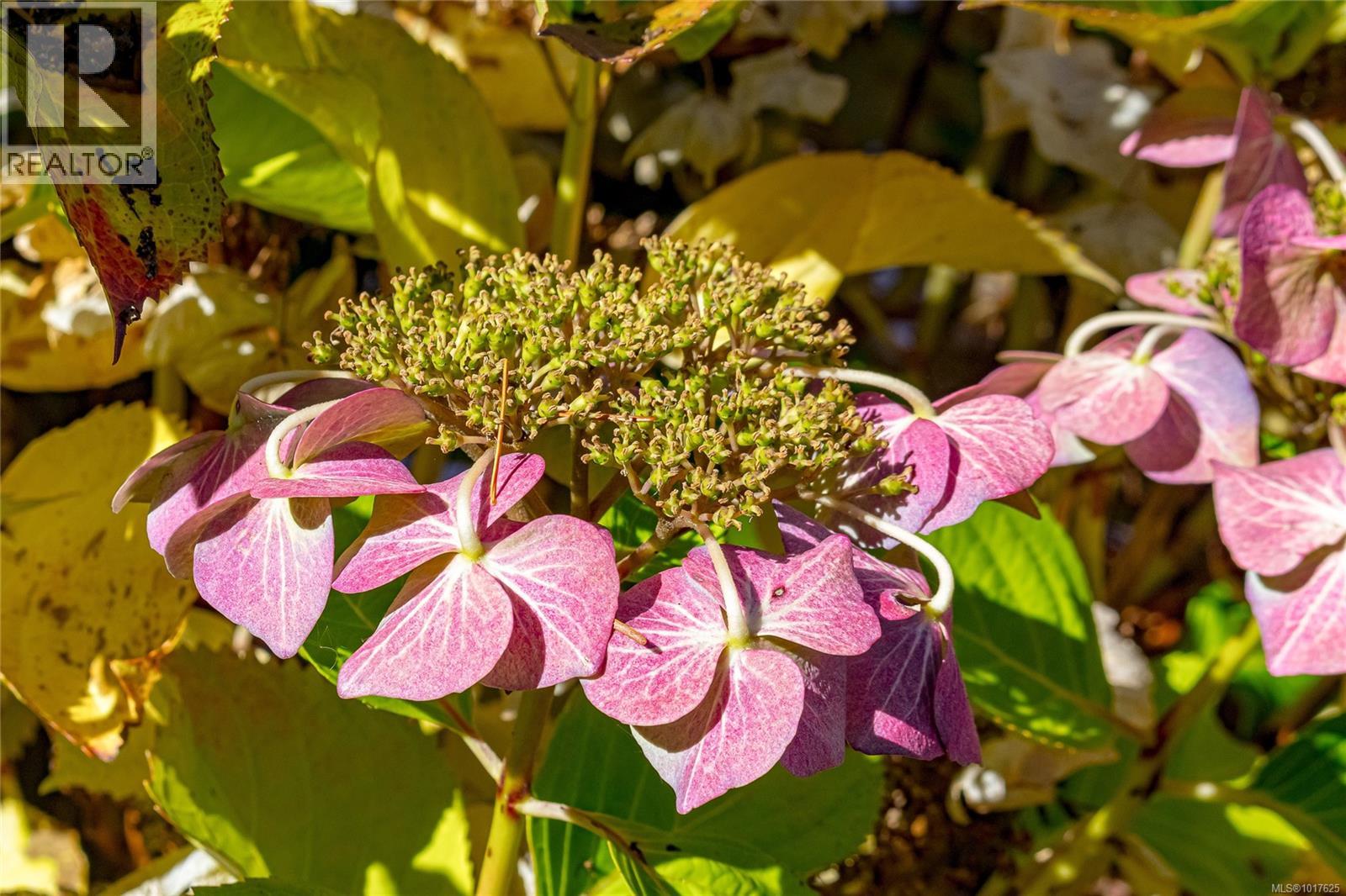  2135 Summergate Boulevard, Sidney