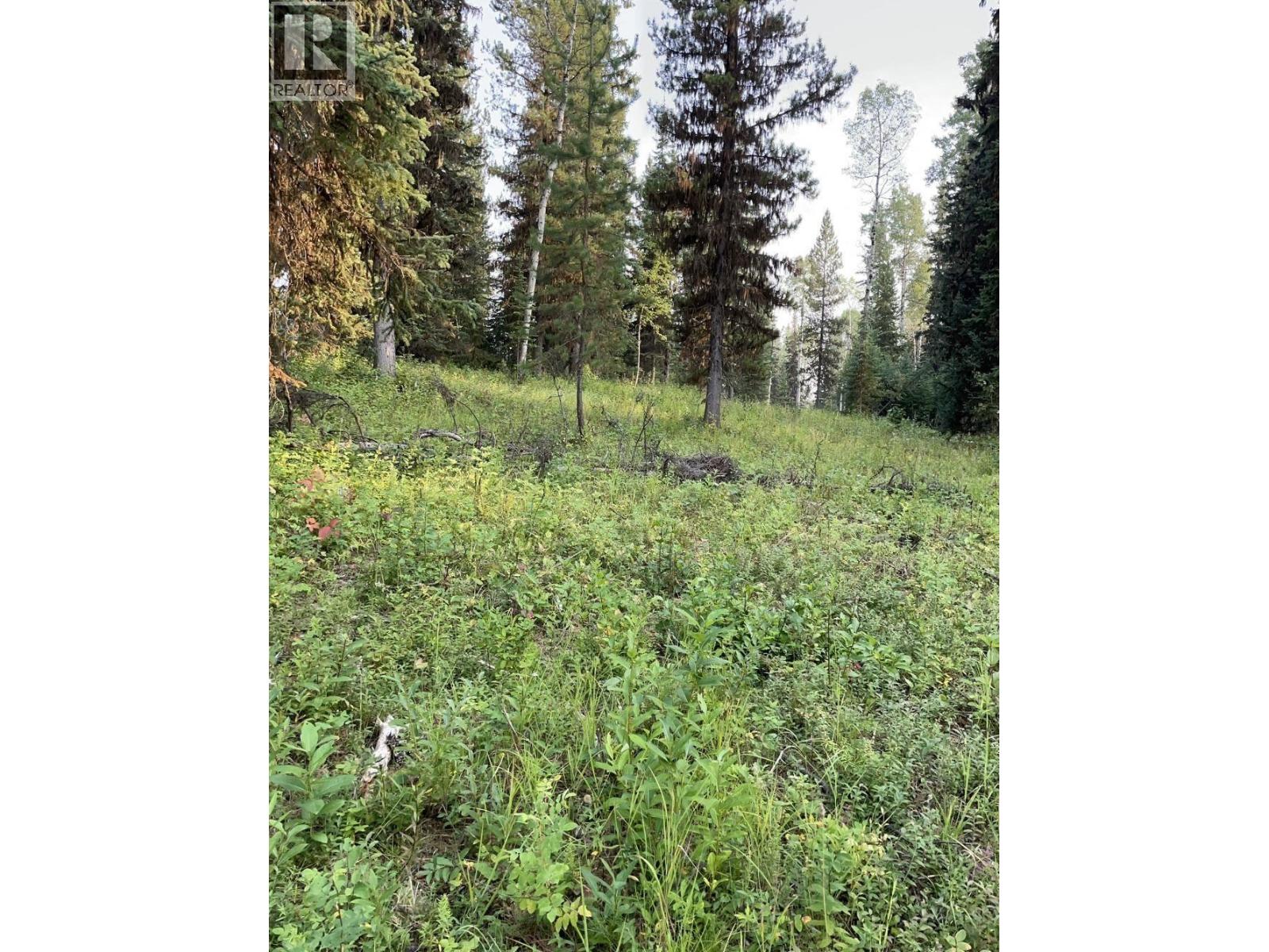 Kitchen of 8120 GISCOME ROAD · Prince George, BC