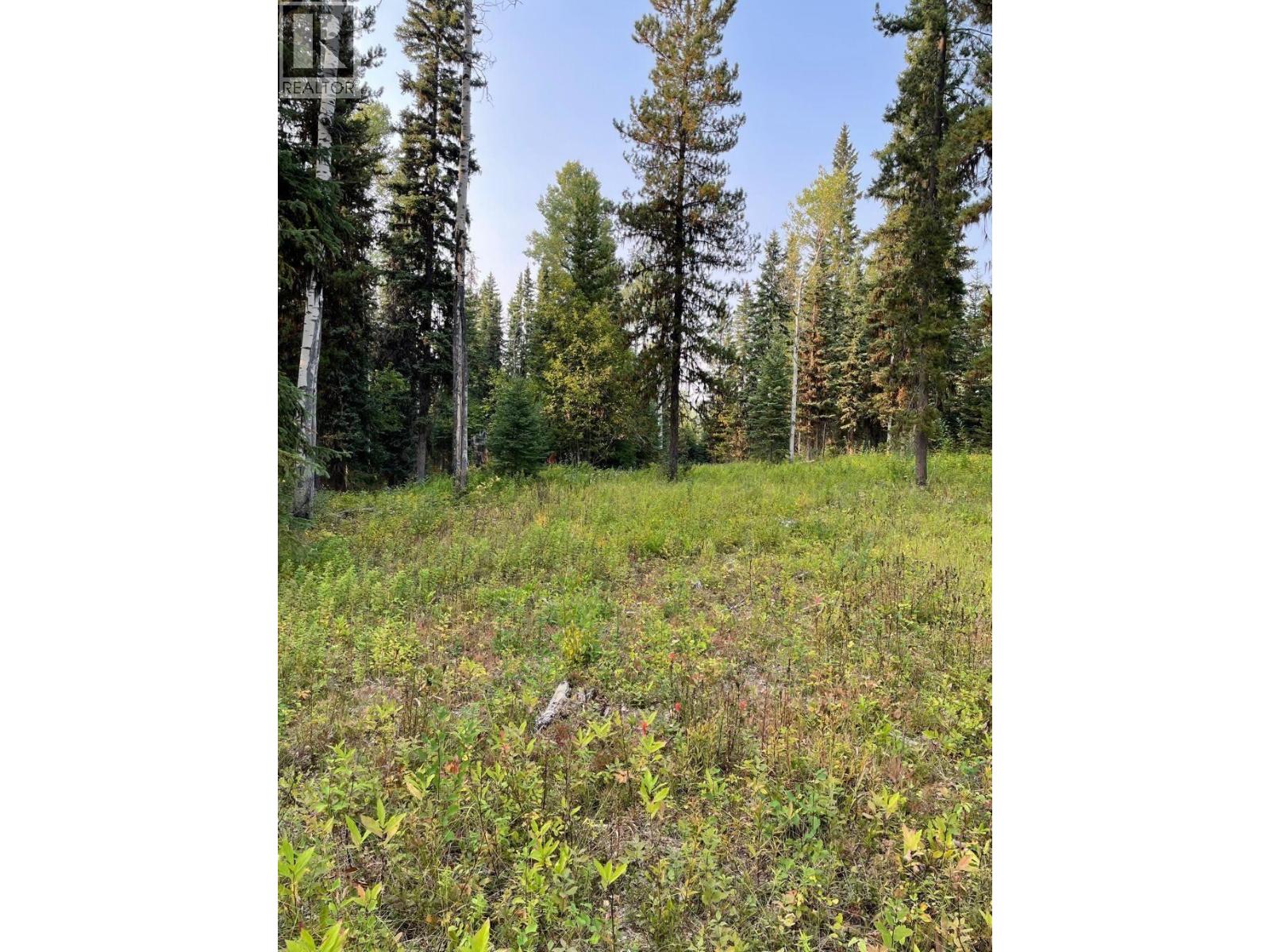 Backyard of 8120 GISCOME ROAD · Prince George, BC