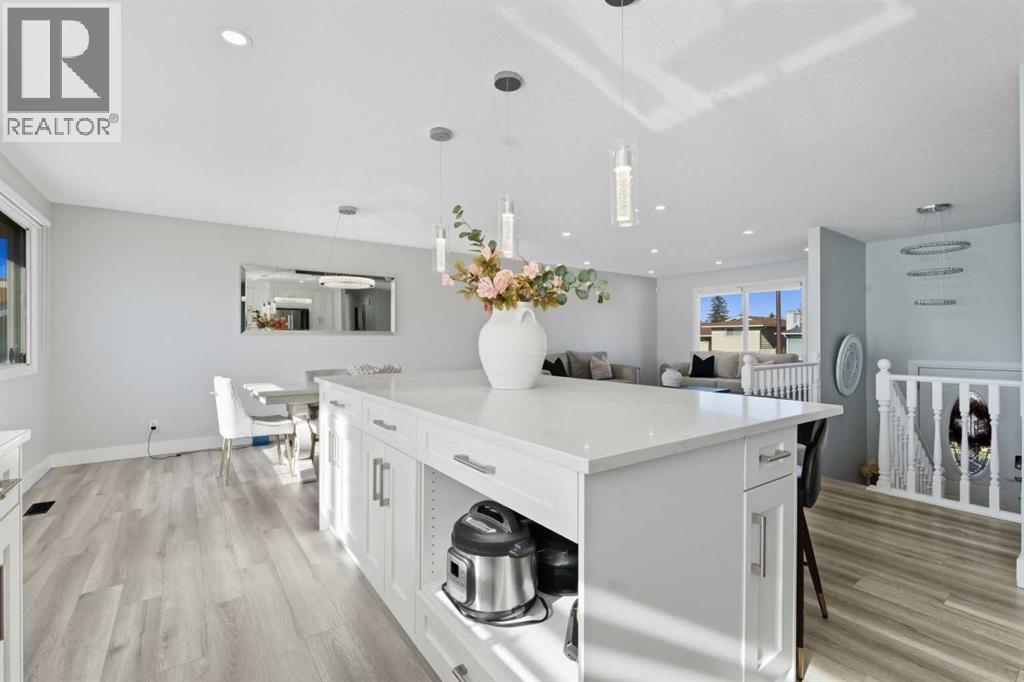 Single Family House Bi-level for Sale in  Pinetree Place NE Pineridge Calgary 