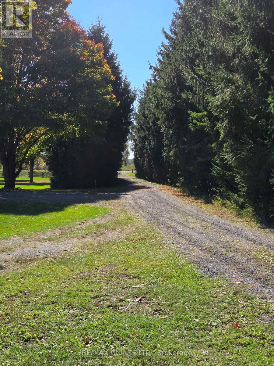 551 MARLBANK ROAD - 32