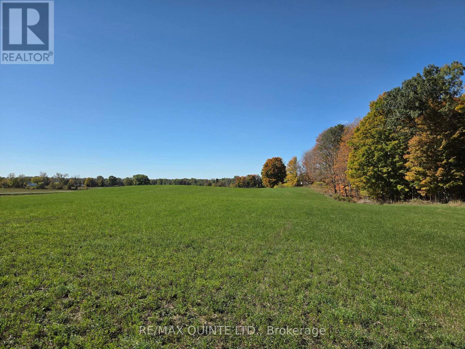 551 MARLBANK ROAD - 43