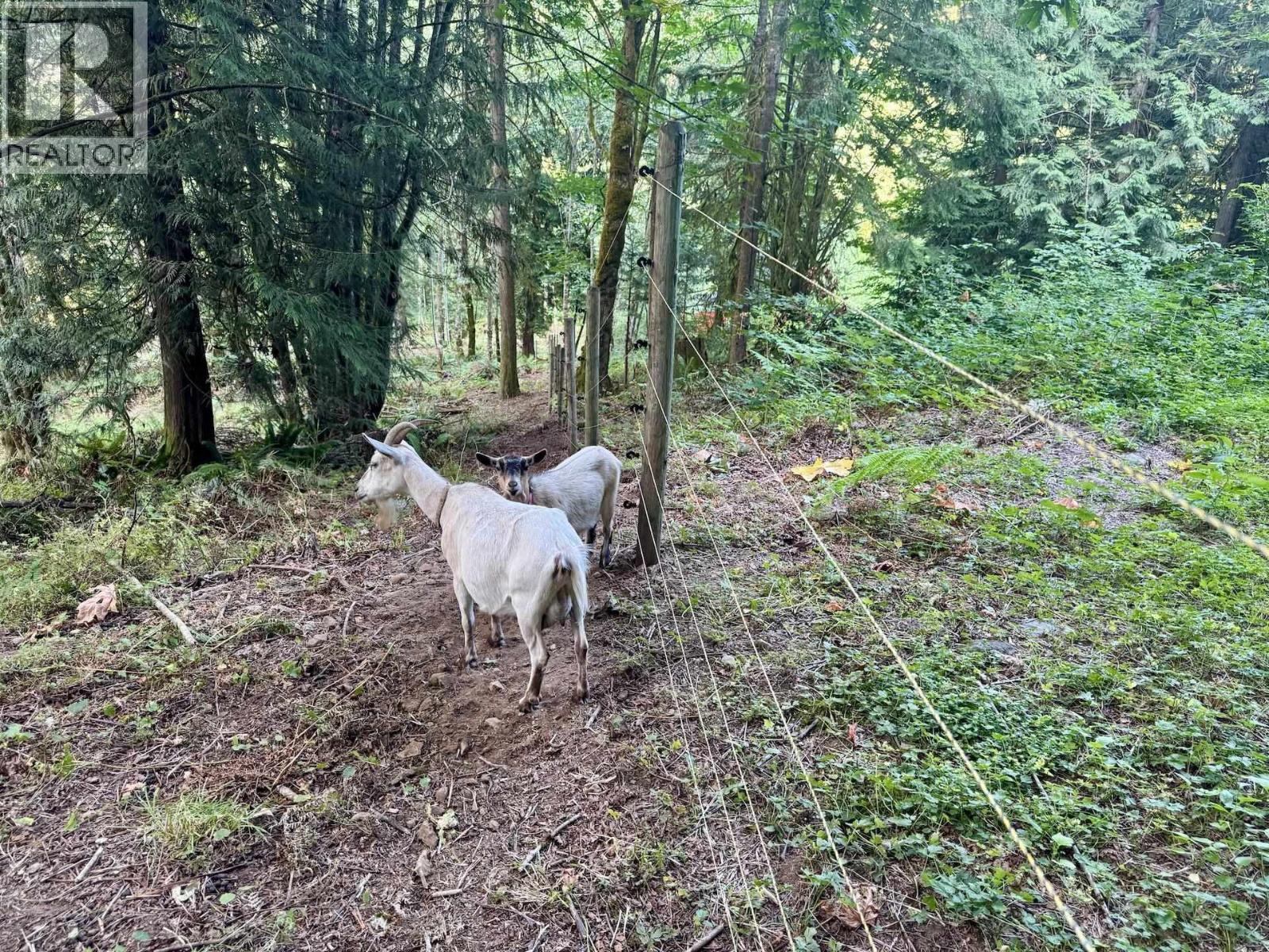 10160 ROLLEY CRESCENT, Maple Ridge