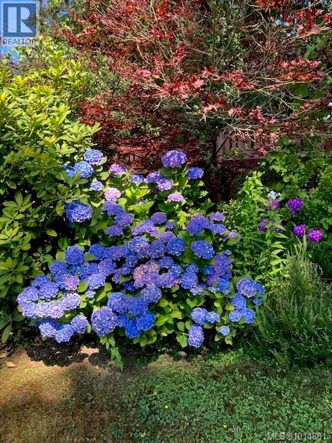 1870 Munsie Rd, Shawnigan Lake