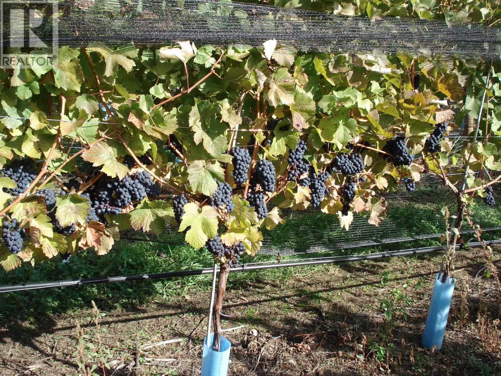 5214 Monro Avenue, Summerland