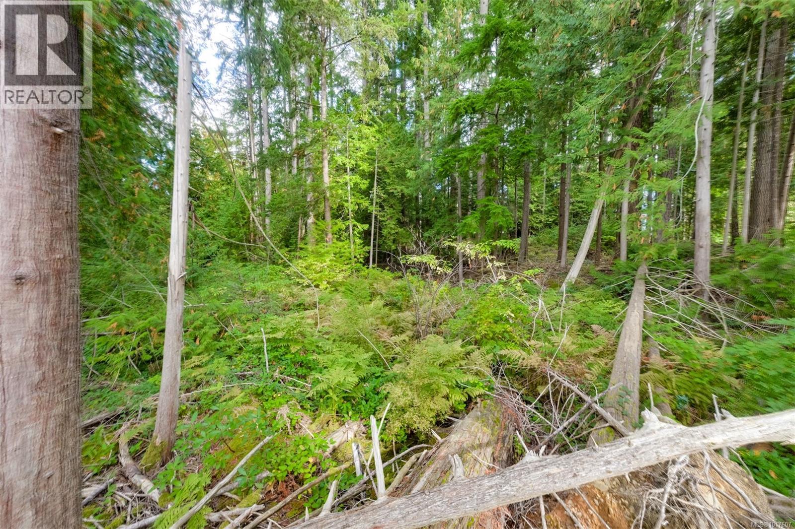 Lot 11 Katy's Crescent, Shawnigan Lake