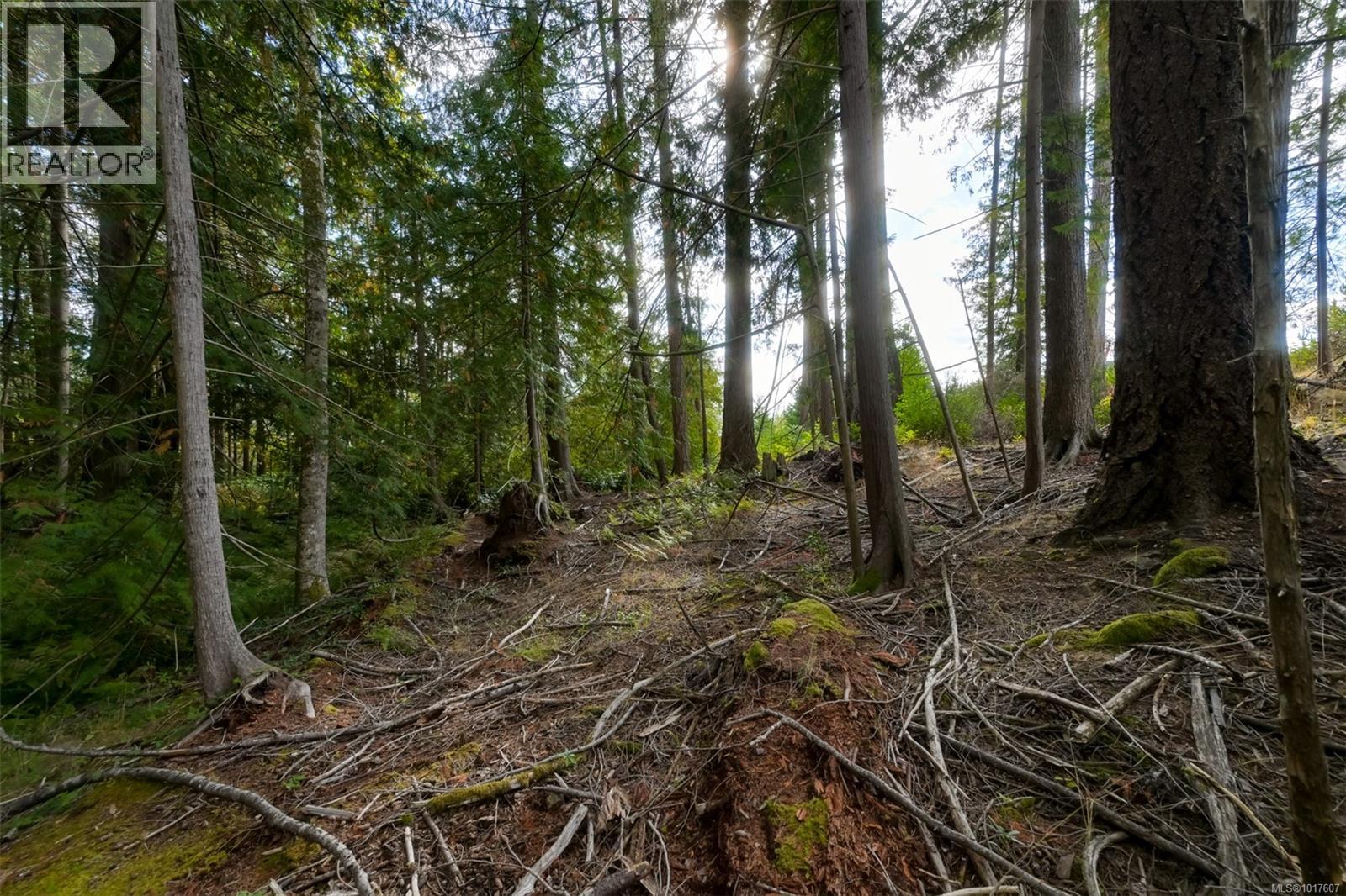 Lot 11 Katy's Crescent, Shawnigan Lake