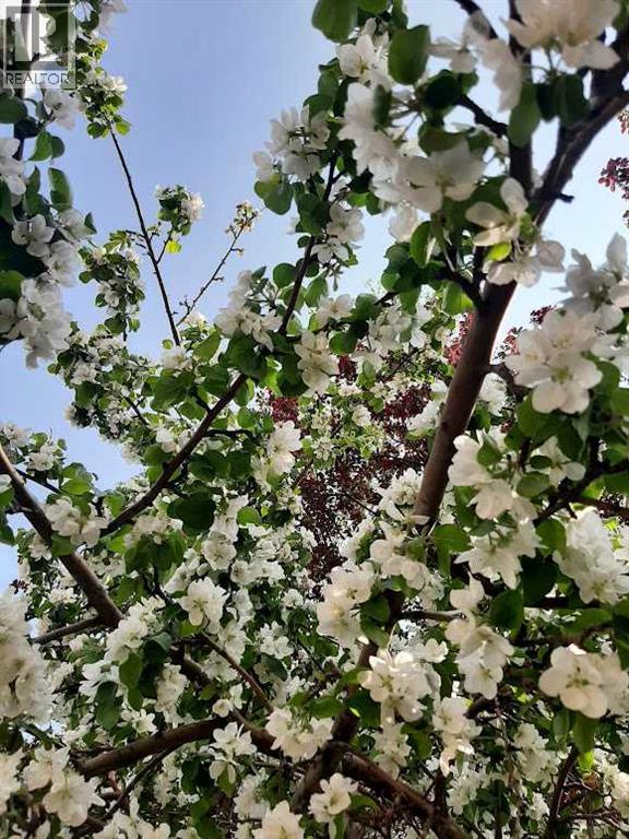 Single Family House Bungalow for Sale in  Cottonwood Crescent SE Southview Calgary 