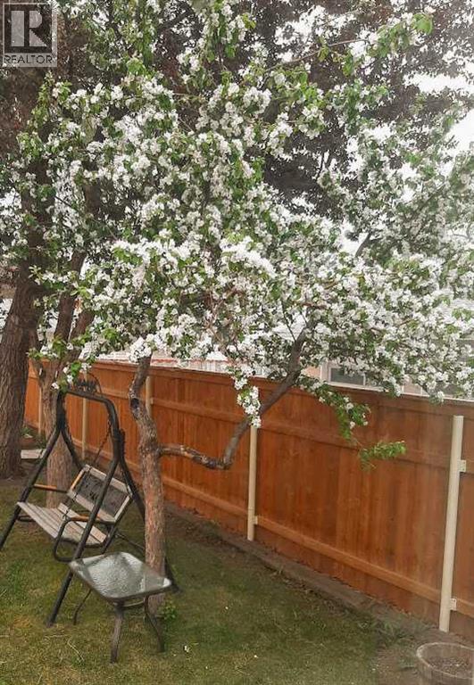 Single Family House Bungalow for Sale in  Cottonwood Crescent SE Southview Calgary 