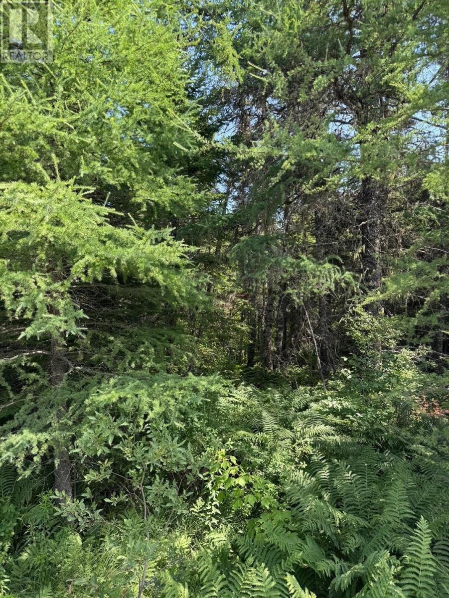 Property 11 of 12 of Lot 54 Highway 4, Kempt Road, Helmuts Lane