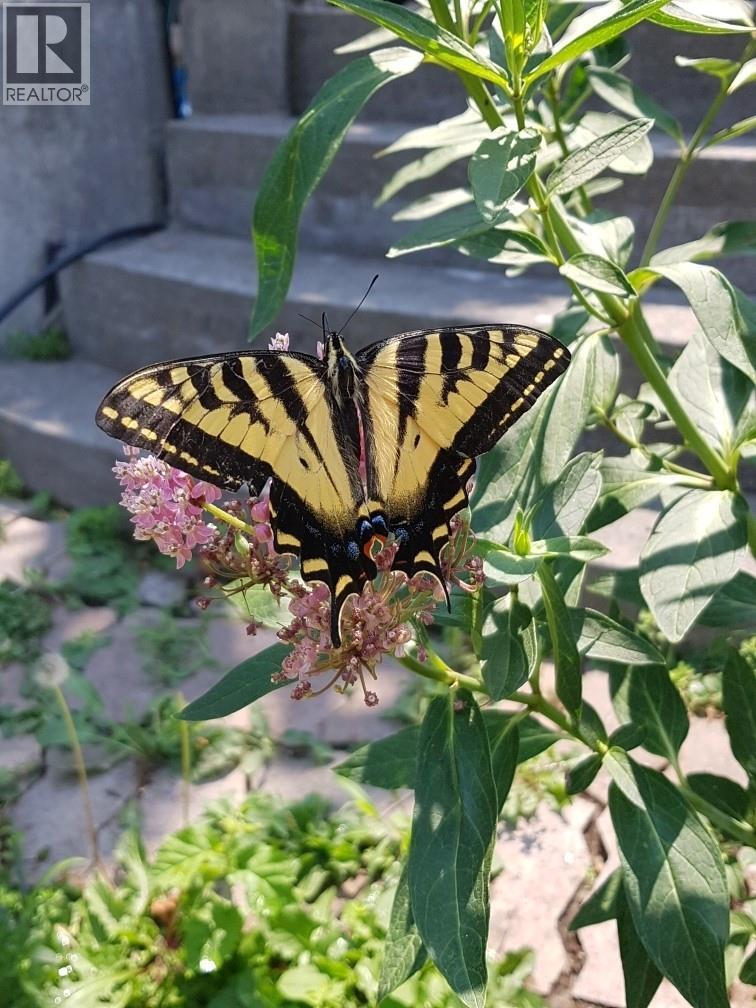 1602 85TH Street, Osoyoos