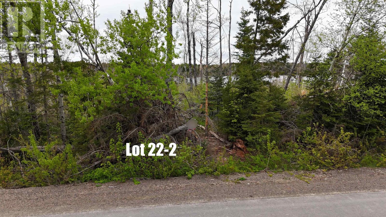 Property 3 of 8 of Lot 22-2 Lake Road